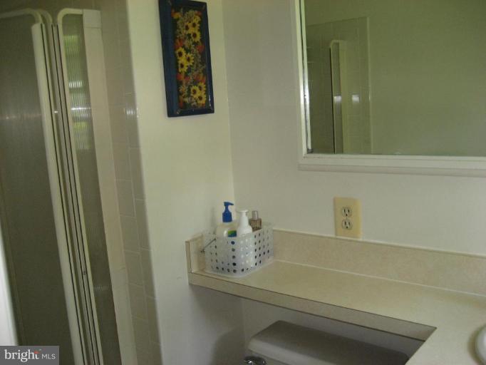 7510 Hamlet Street Springfield, VA 22151 - Photo 15 of 22 Master Bath