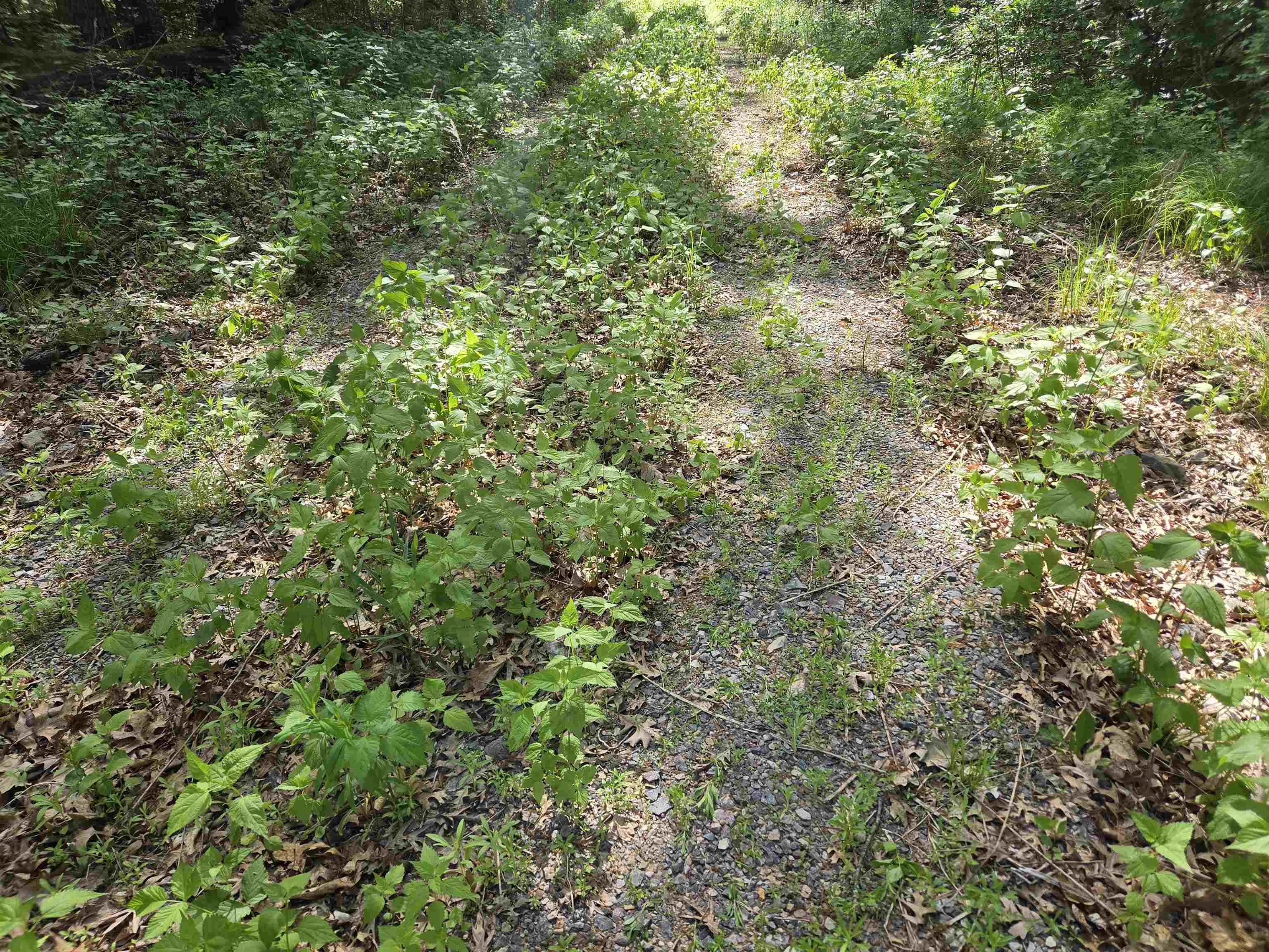 N14672 Porter Road Nekoosa, WI 54457 - Photo 22 of 51