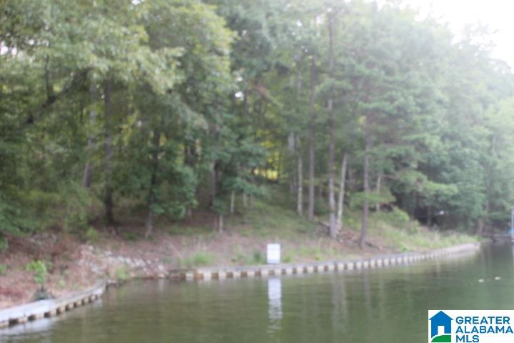 0 Red Cedar Drive, Unit 121 Wedowee, AL 36278 - Photo 20 of 21