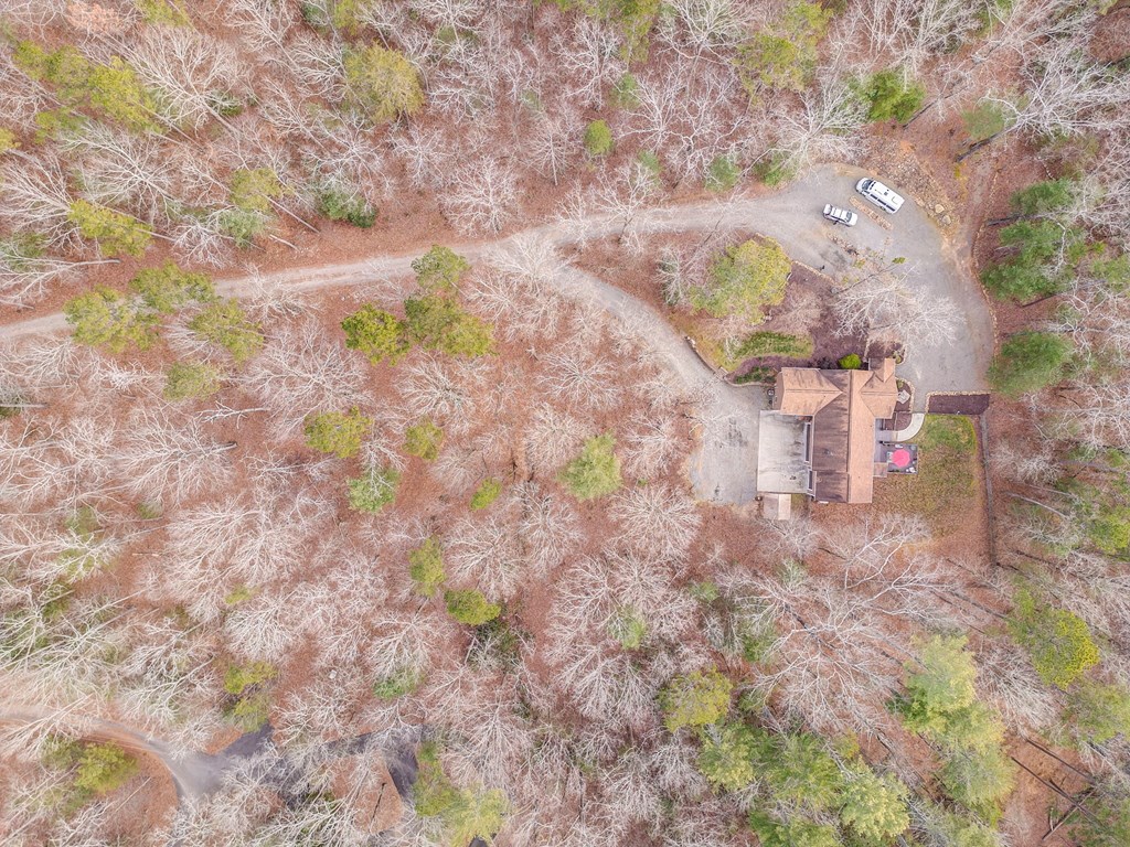 382 Adventure Trail Ellijay, GA 30536 - Photo 5 of 75