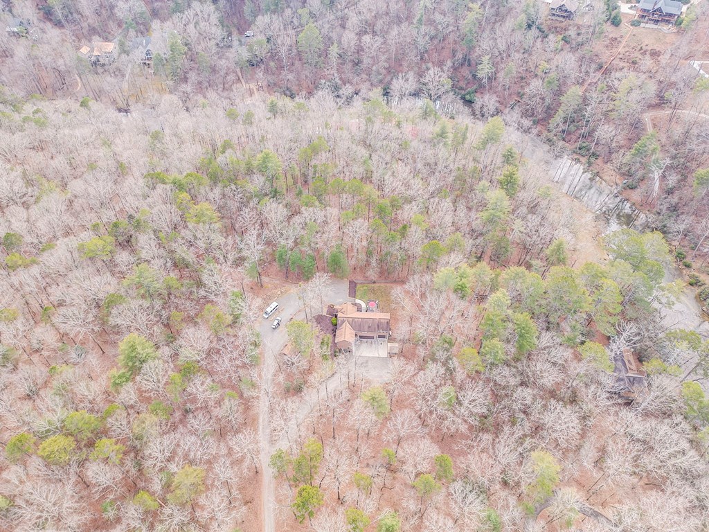 382 Adventure Trail Ellijay, GA 30536 - Photo 6 of 75