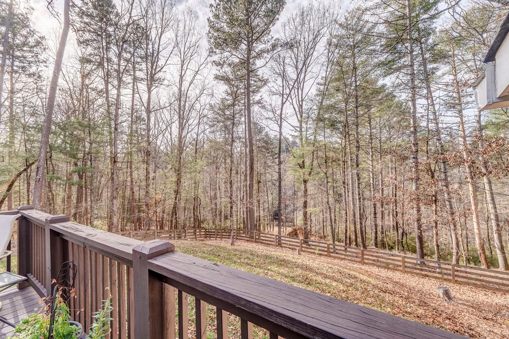 382 Adventure Trail Ellijay, GA 30536 - Photo 65 of 75