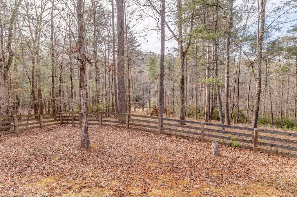 382 Adventure Trail Ellijay, GA 30536 - Photo 67 of 75 a backyard of a house with lots of green space and chair