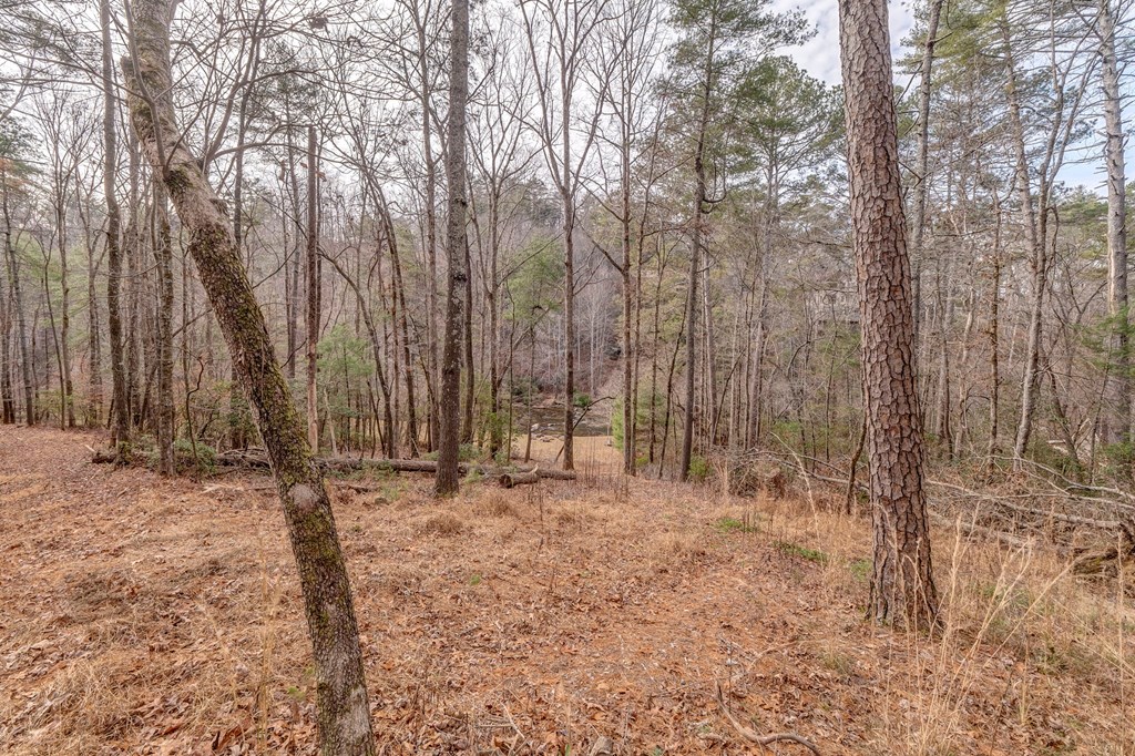 382 Adventure Trail Ellijay, GA 30536 - Photo 71 of 75 a view of outdoor space with trees