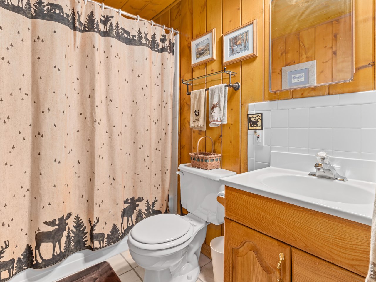 839 Ski Road Allenspark, CO 80510 - Photo 32 of 47