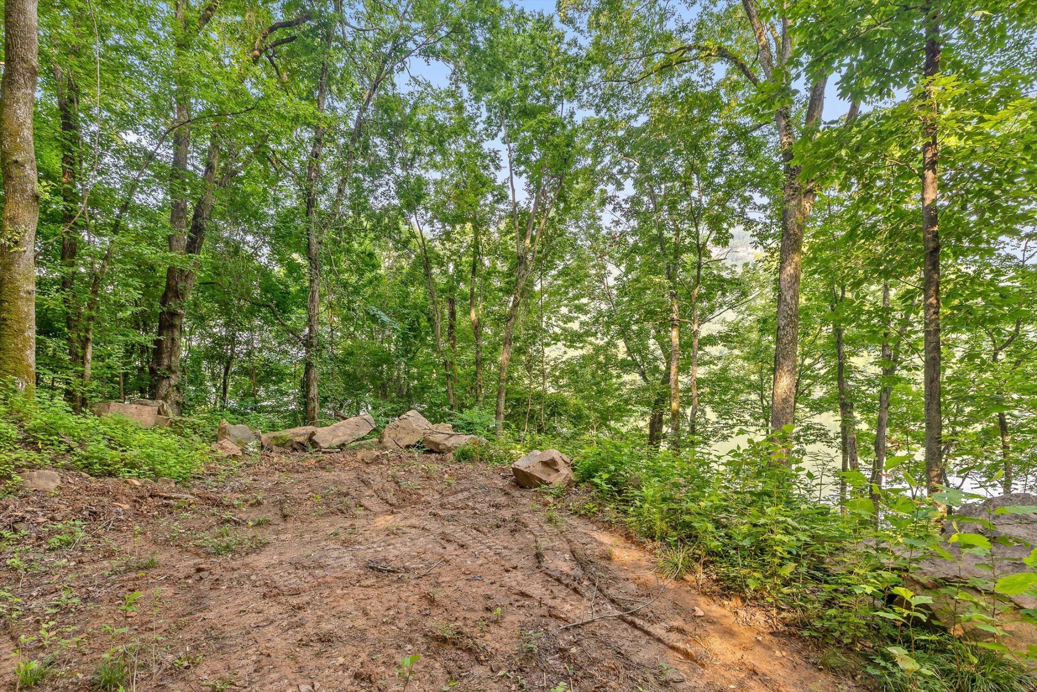 1311 Massengale Point Road Chattanooga, TN 37419 - Photo 27 of 31 Gallery Image 27