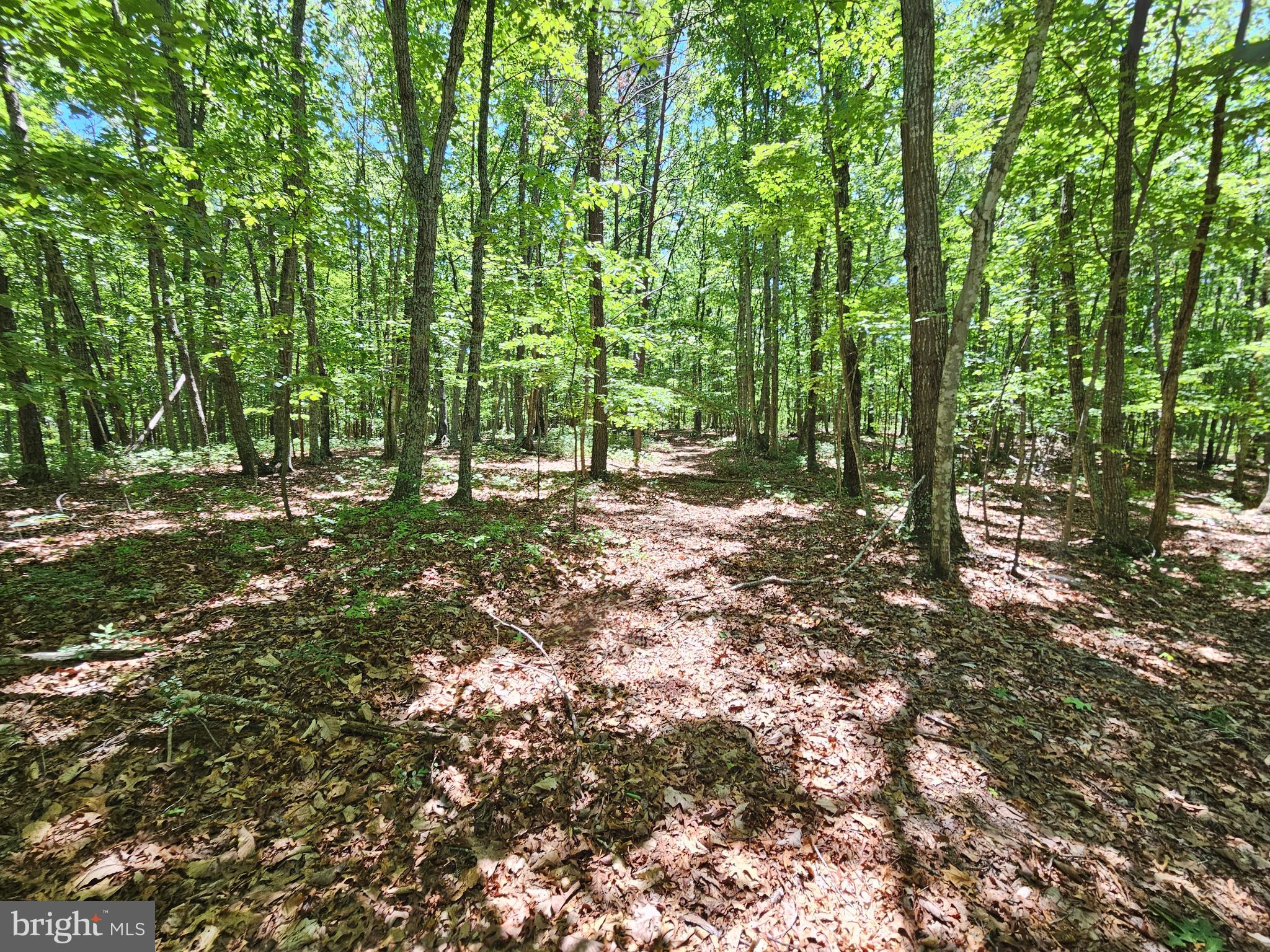 15-ac Manteo Road Buckingham, VA 23921 - Photo 17 of 18