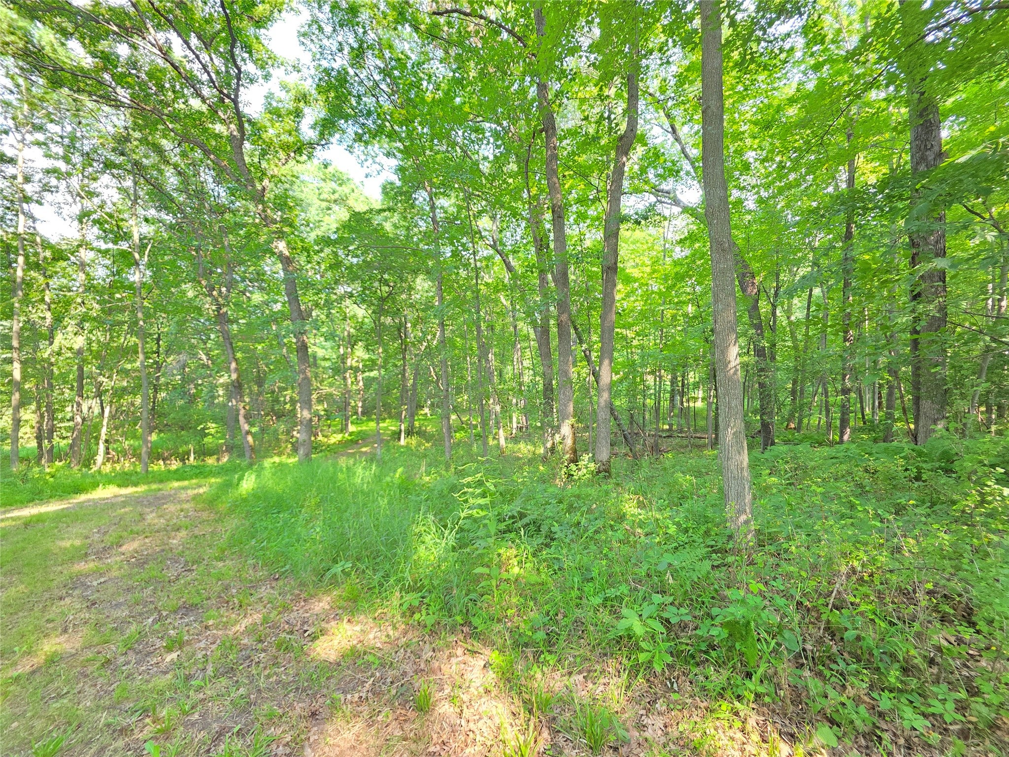 Lot 0 County Road Colfax, WI 54730 - Photo 23 of 25 Gallery Image 23