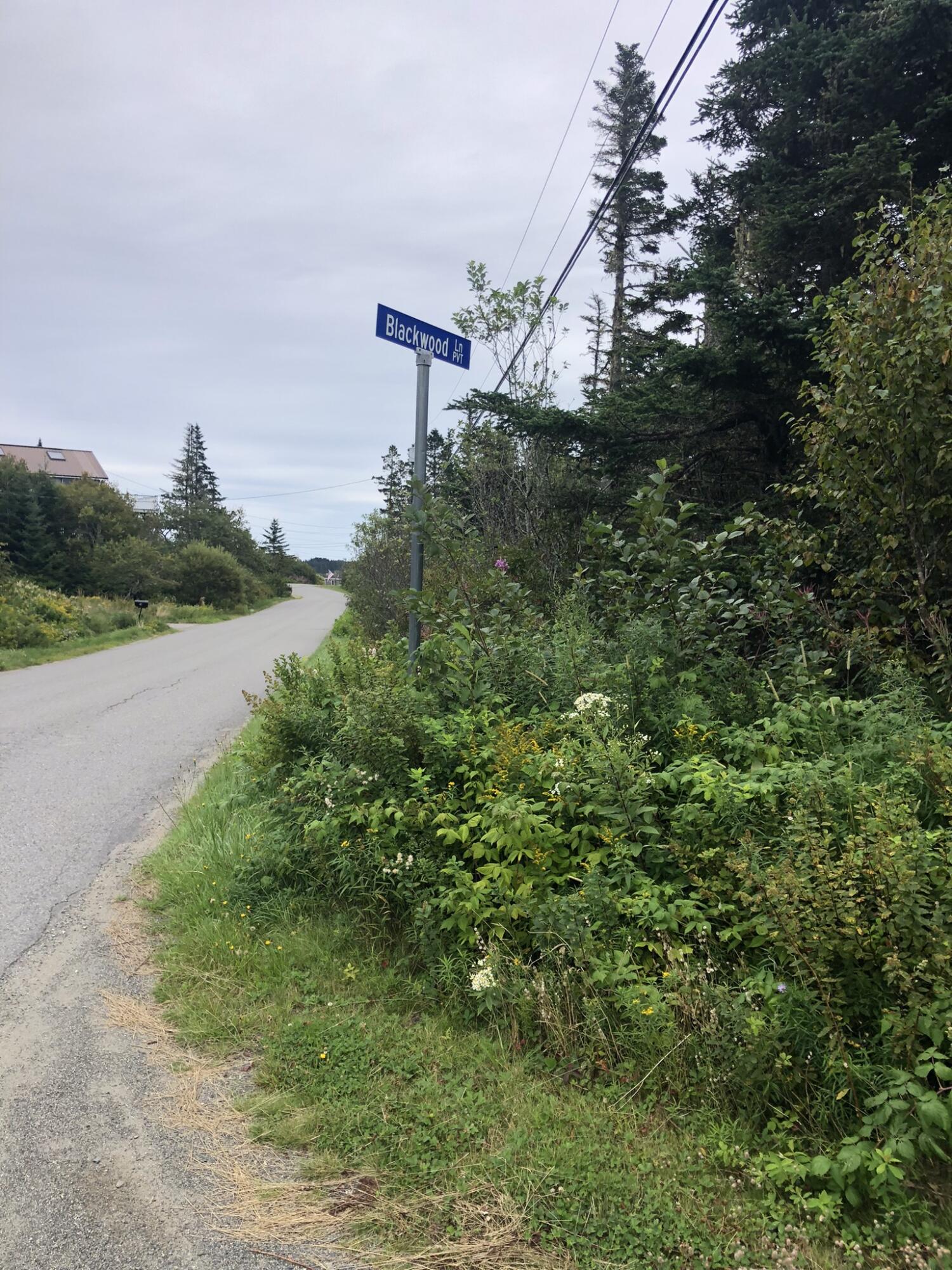 Lot25-a-1 Boot Cove Road Lubec, ME 04652 - Photo 33 of 34 C4592D98-506C-475D-9AEB-21614F78DAA8