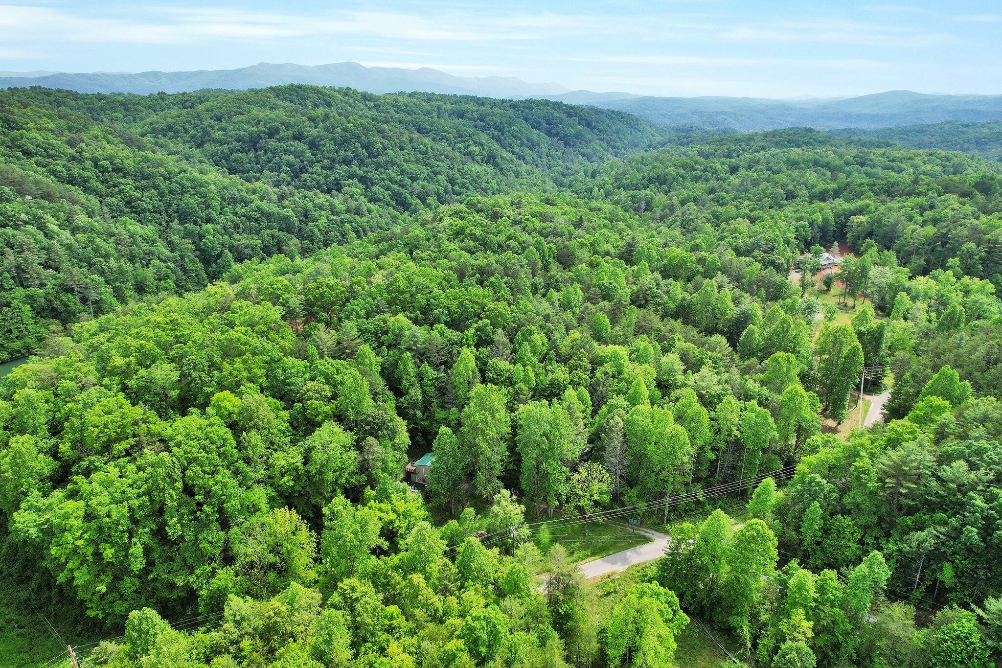 1312 Rafter Road Tellico Plains, TN 37385 - Photo 36 of 37 Gallery Image 36
