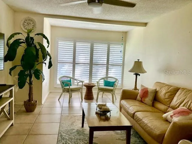 a living room with furniture and a potted plant