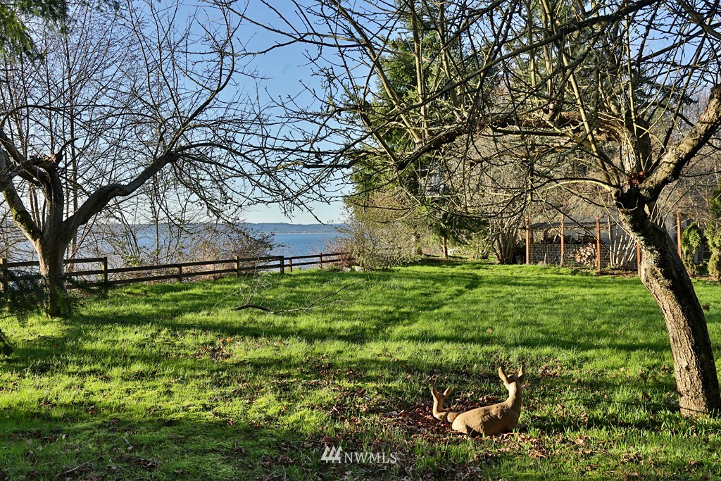7120 Maxwelton Road Clinton, WA 98236 - Photo 4 of 25 a backyard of a house with lots of green space