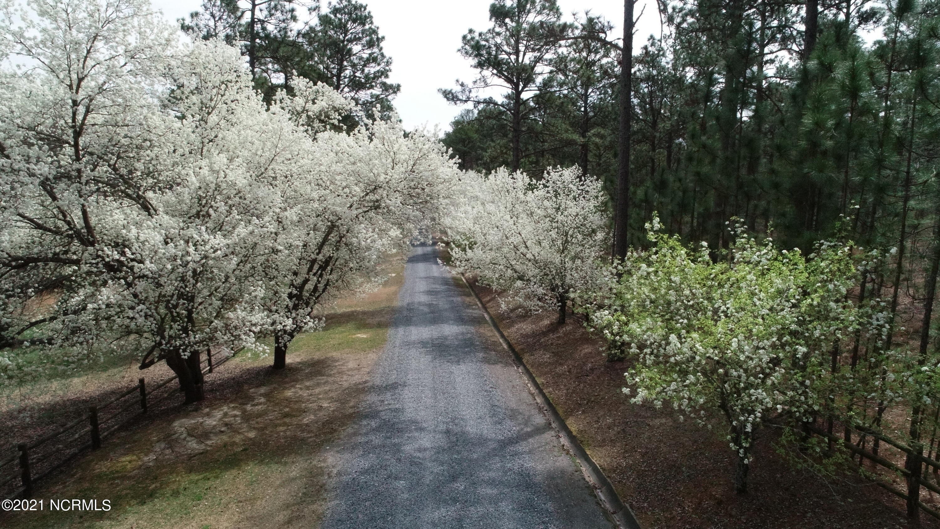 3000 Lakebay Road Vass, NC 28394 - Photo 3 of 108 DJI_0006 - Copy