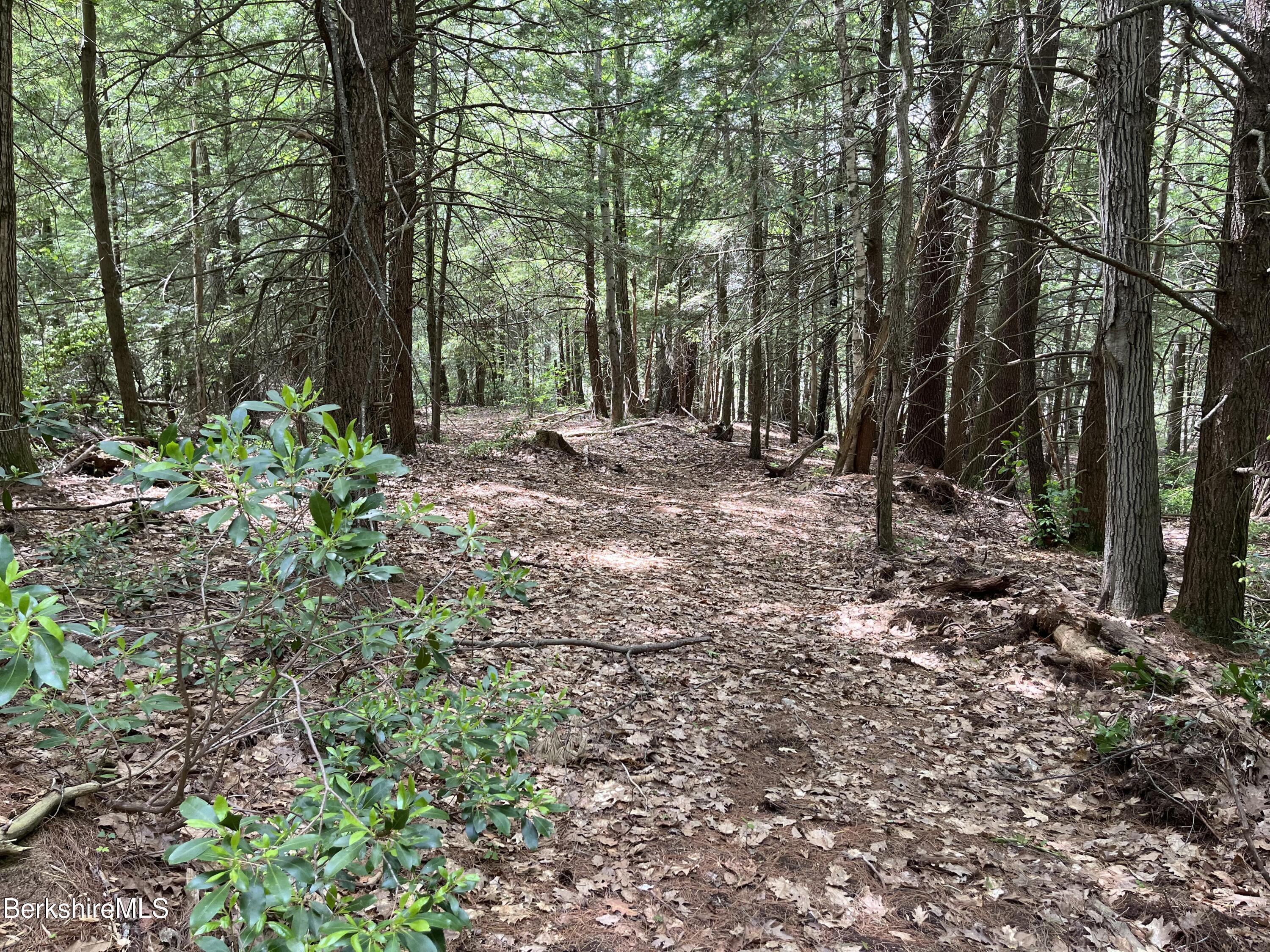 Lot 84 Churchill Road East Otis, MA 01029 - Photo 7 of 18 L 84 F