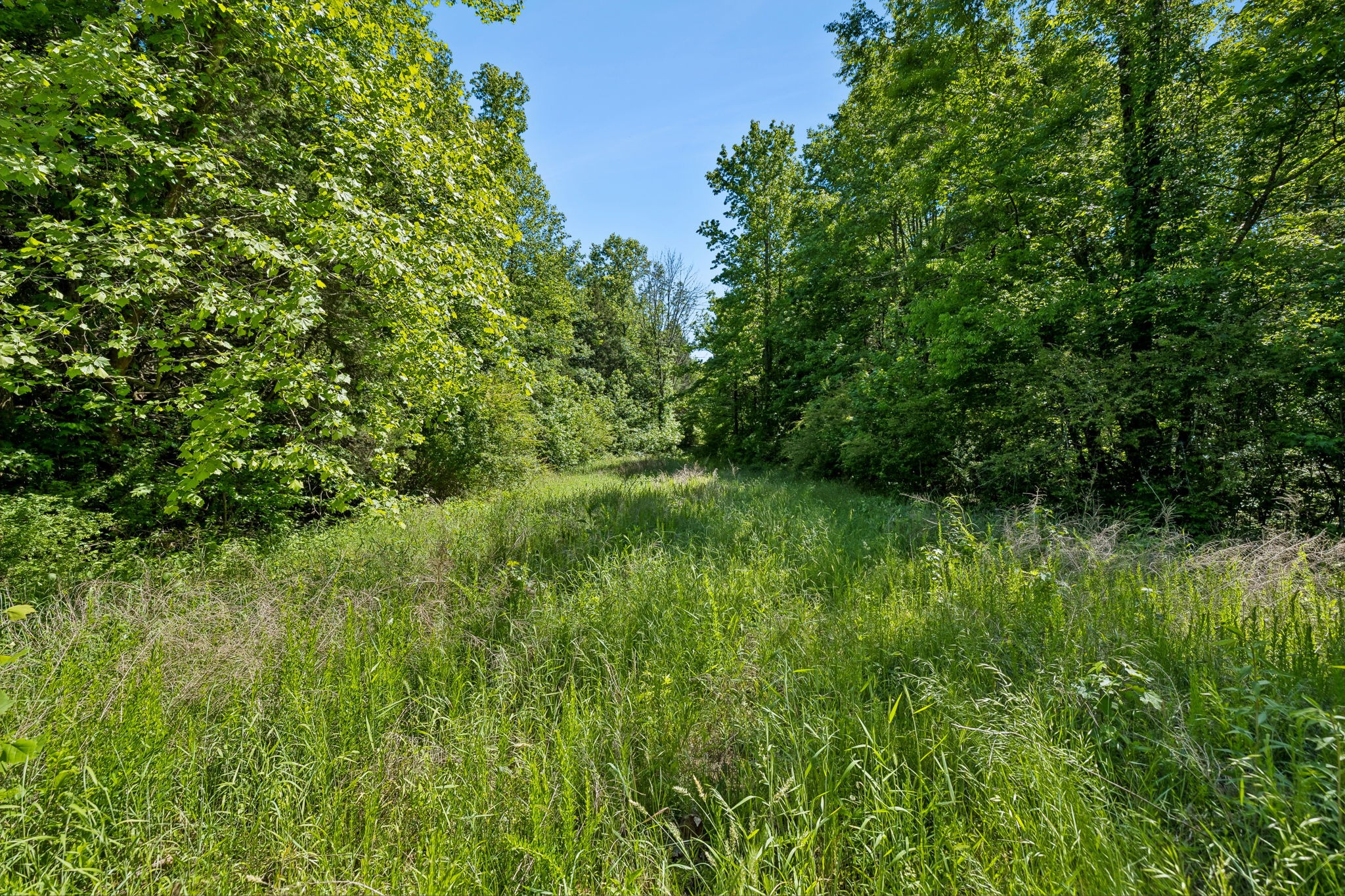 655 Burton Ridge Road Silver Point, TN 38582 - Photo 38 of 64