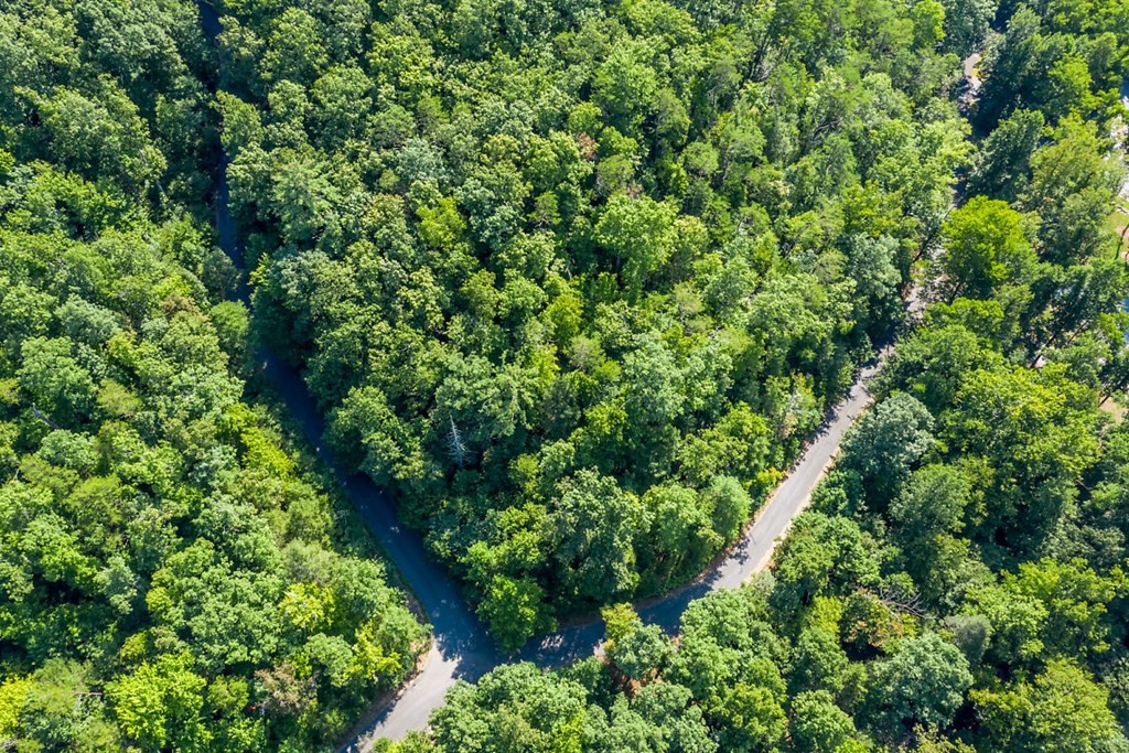 0 Sonshine Ridge Cosby, TN 37722 - Photo 18 of 29 an aerial view of a lush green forest with houses