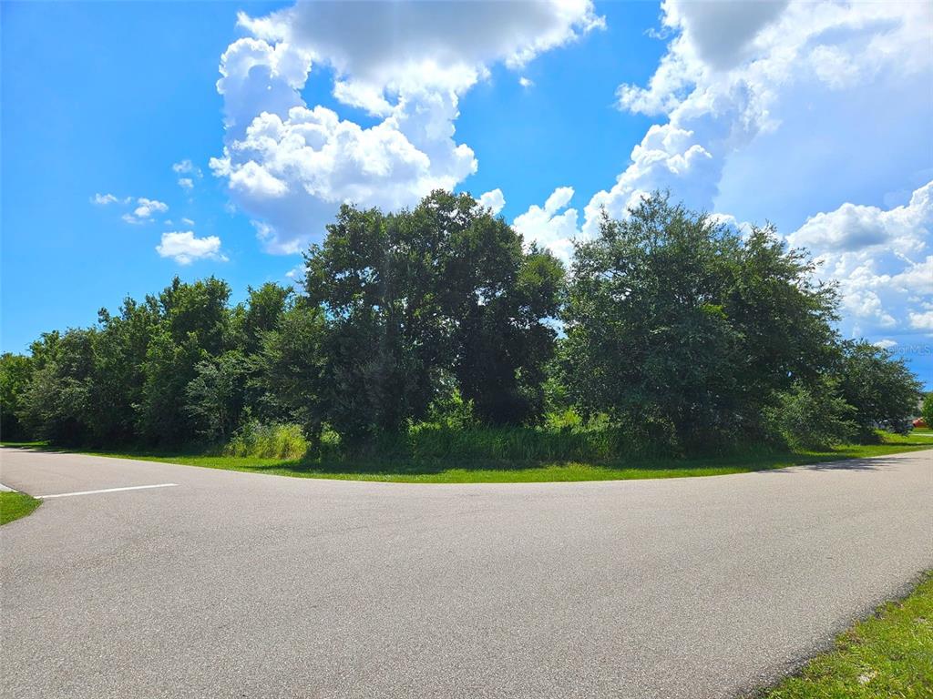 1394 Saxony Circle Punta Gorda, FL 33983 - Photo 1 of 13 a view of a city street