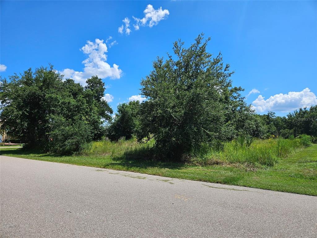 1394 Saxony Circle Punta Gorda, FL 33983 - Photo 11 of 13 a view of a house with a big yard