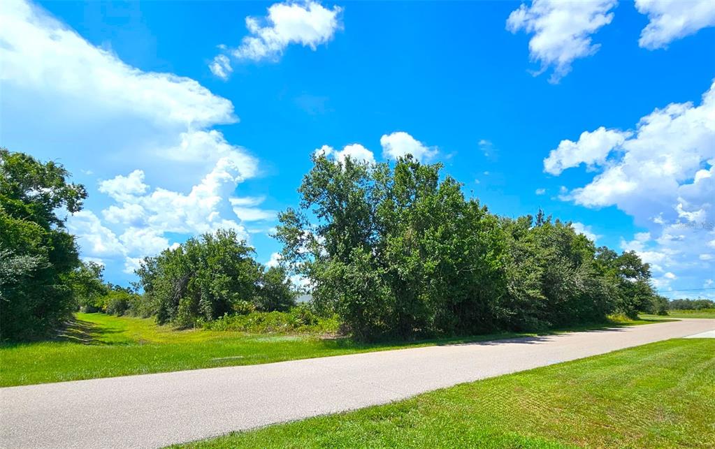 1394 Saxony Circle Punta Gorda, FL 33983 - Photo 5 of 13 a view of a flower room with a yard