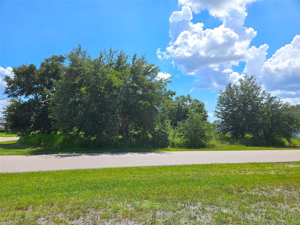 1394 Saxony Circle Punta Gorda, FL 33983 - Photo 7 of 13 a view of a yard