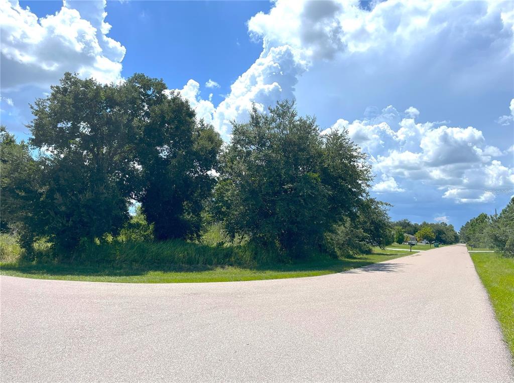 1394 Saxony Circle Punta Gorda, FL 33983 - Photo 8 of 13 a view of a yard and entertaining space