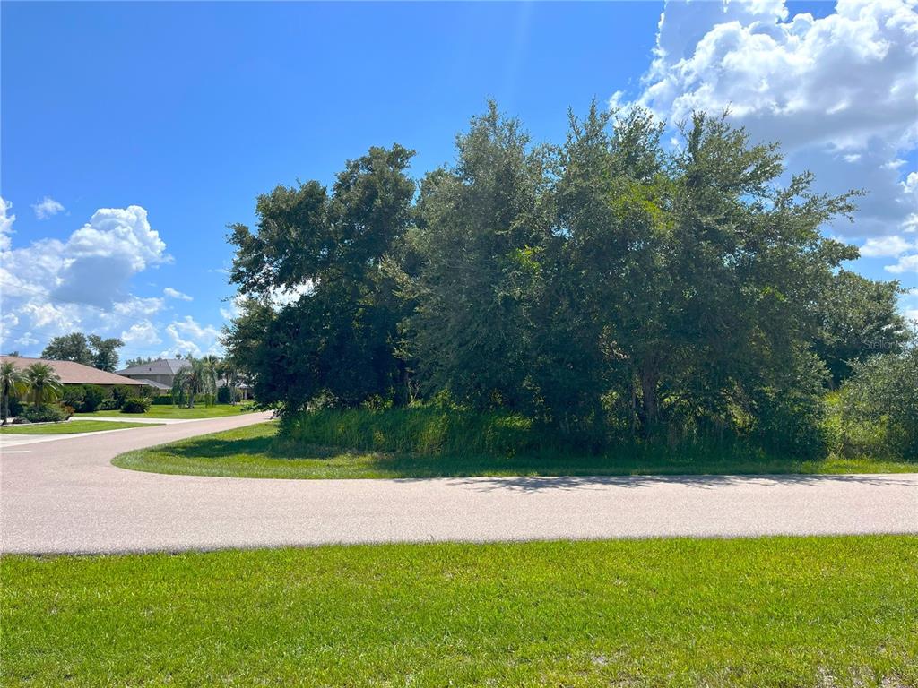 1394 Saxony Circle Punta Gorda, FL 33983 - Photo 9 of 13 a view of a yard and a houses