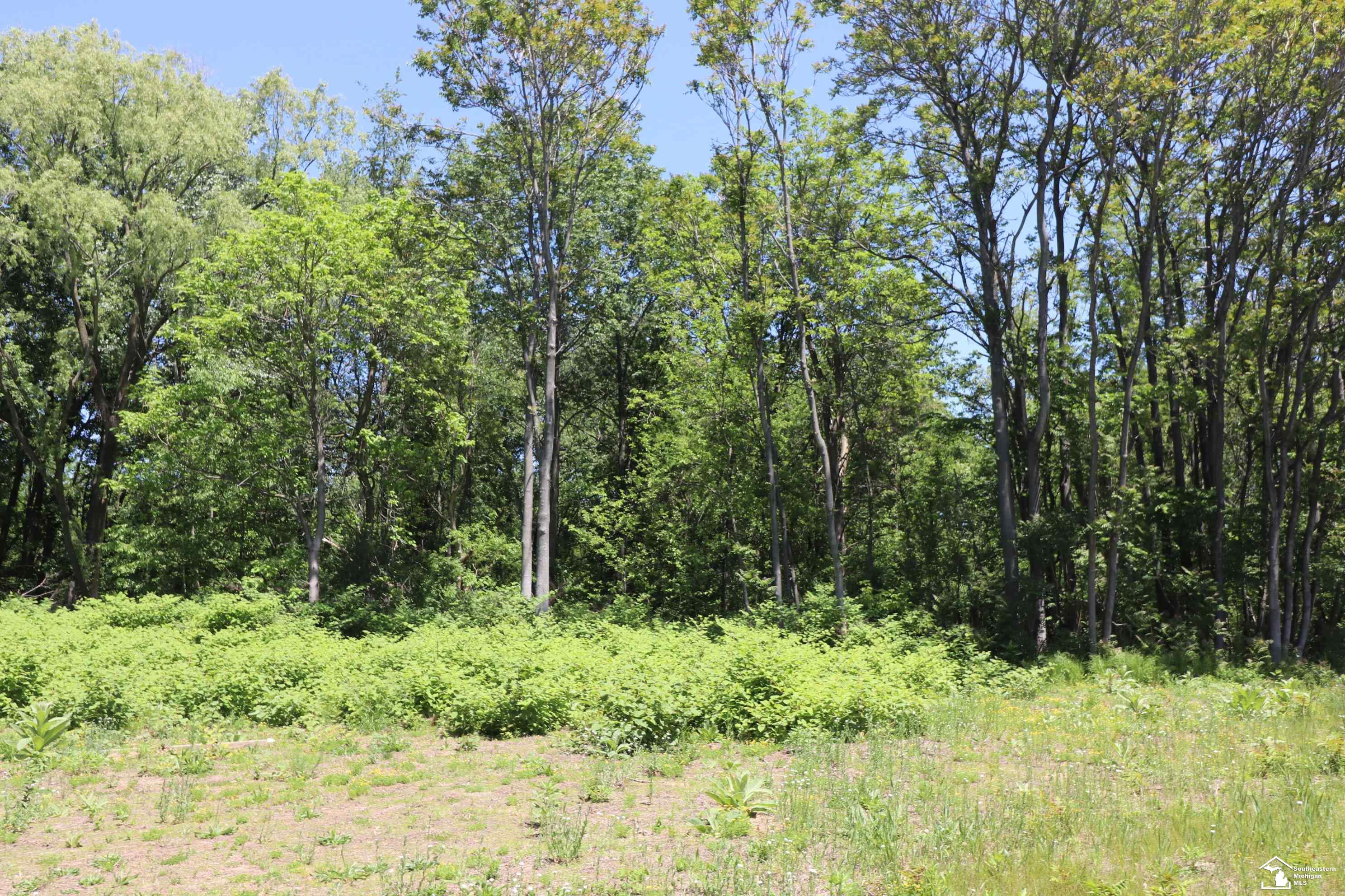 2630 West Temperance Road Temperance, MI 48182 - Photo 8 of 12