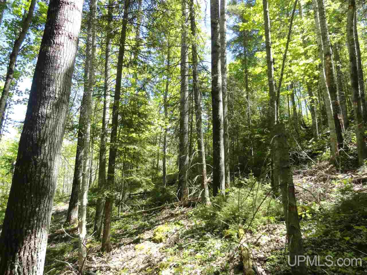 40 Two 2 Mile Creek Road Channing, MI 49815 - Photo 11 of 15