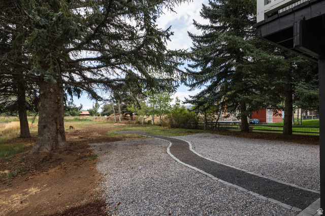 75 East 100 North Midway, UT 84049 - Photo 30 of 43 Gravel path with a dark aggregate walkway, bordered by mature evergreen trees
