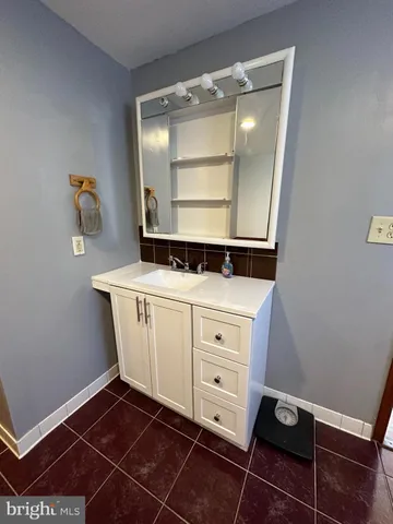 a view of a yard with plants and trees