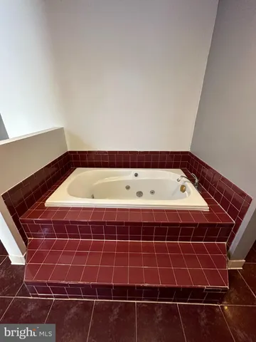 a view of a yard with plants and trees