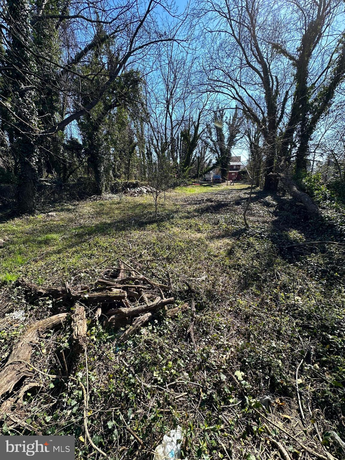 39 Yorke Street Salem, NJ 08079 - Photo 83 of 88