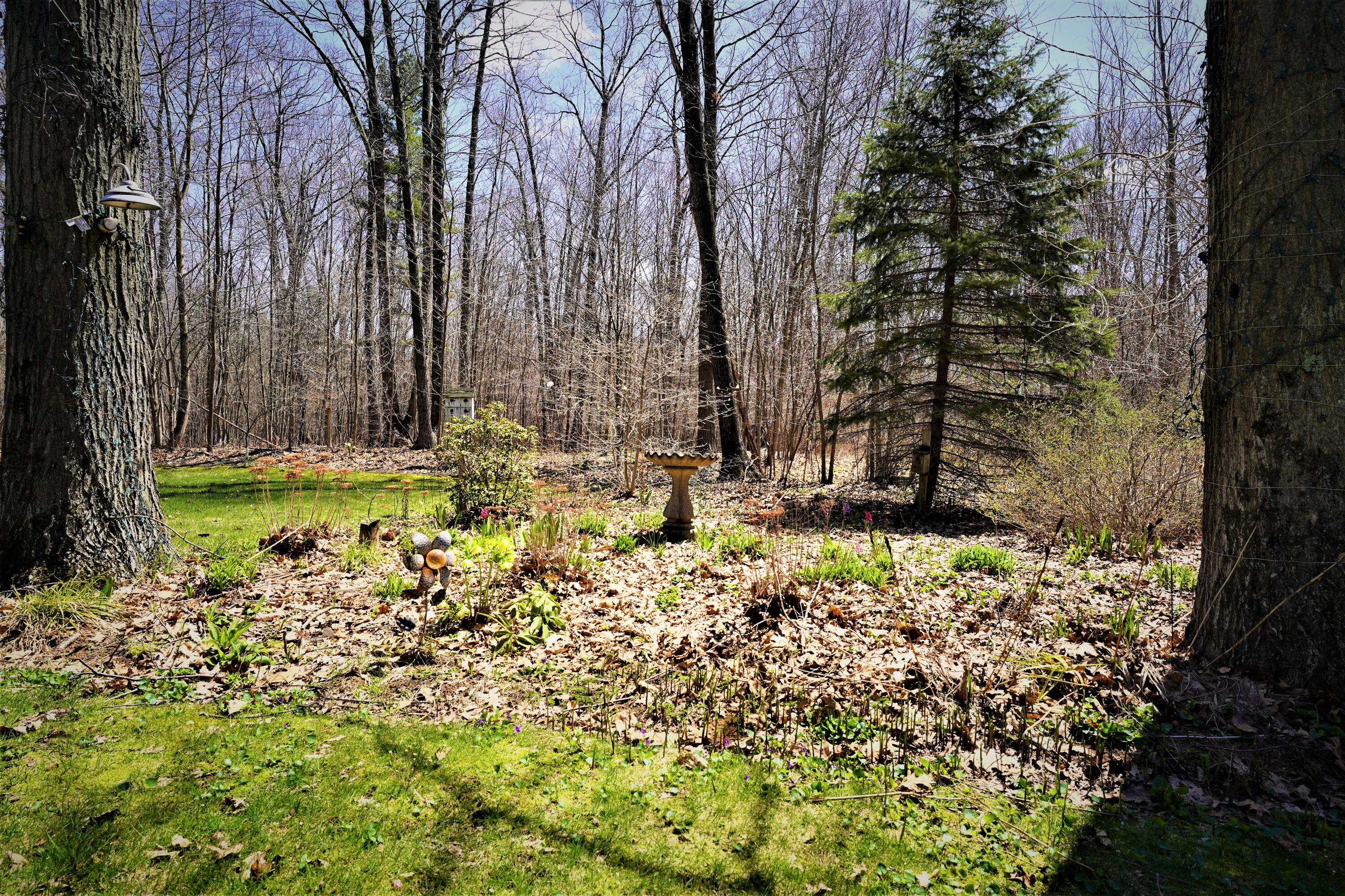4860 West Riley-Thompson Road Whitehall, MI 49461 - Photo 47 of 51 Yard2