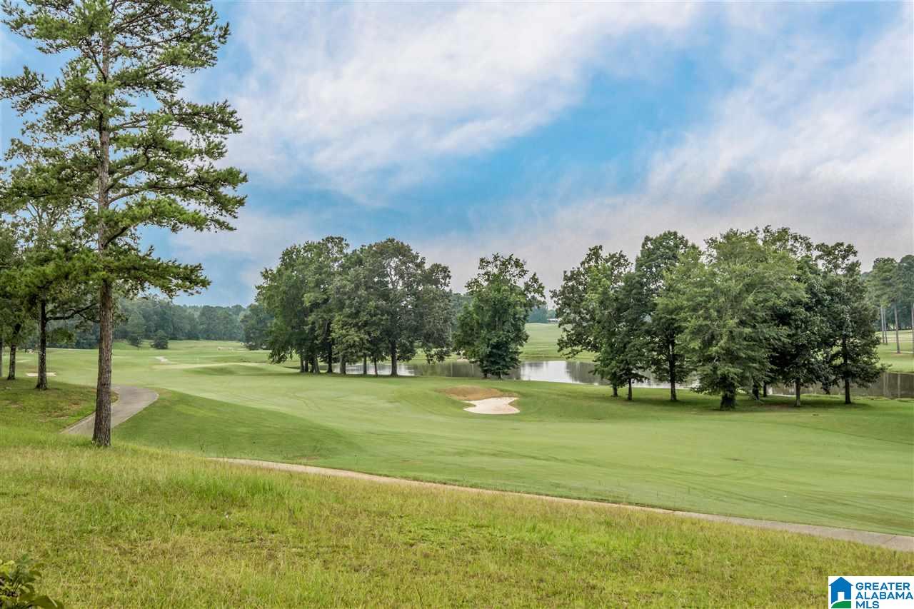 3 Country Club Drive Calera, AL 35040 - Photo 27 of 29