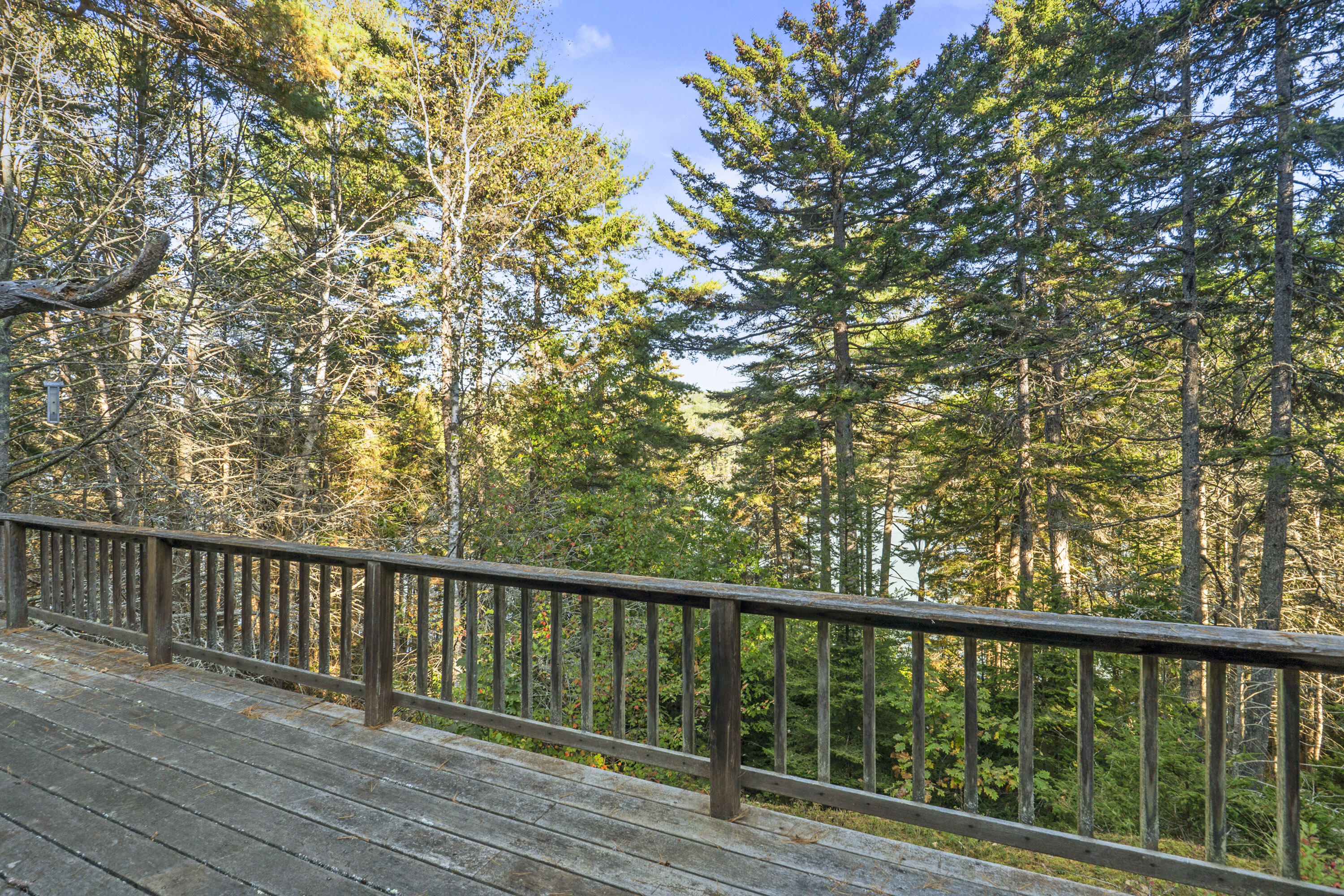 17 Lester Road Westport Island, ME 04578 - Photo 24 of 96 17 Lester Rd_116