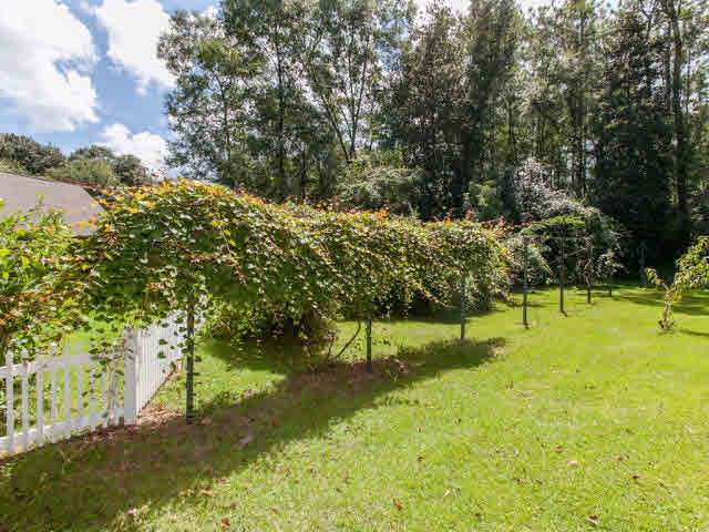 304 Bristol Way Foley, AL 36535 - Photo 42 of 45 Grape Arbor