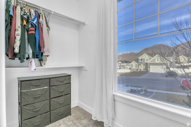 1033 North Christley Lane Elk Ridge, UT 84651 - Photo 44 of 63