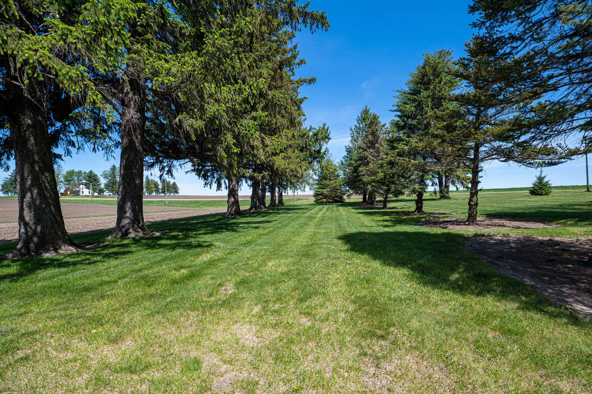 13546 North Showers Road Orangeville, IL 61060 - Photo 28 of 37