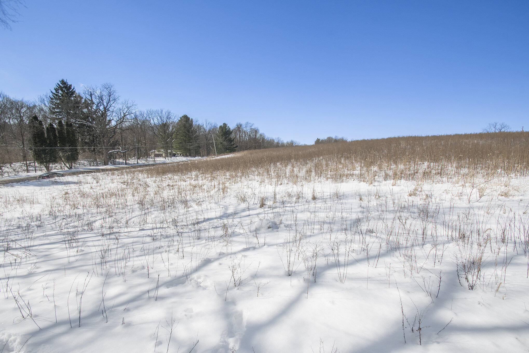 0 Madron Lake Road Buchanan, MI 49107 - Photo 3 of 14 003_dsc_1060_738