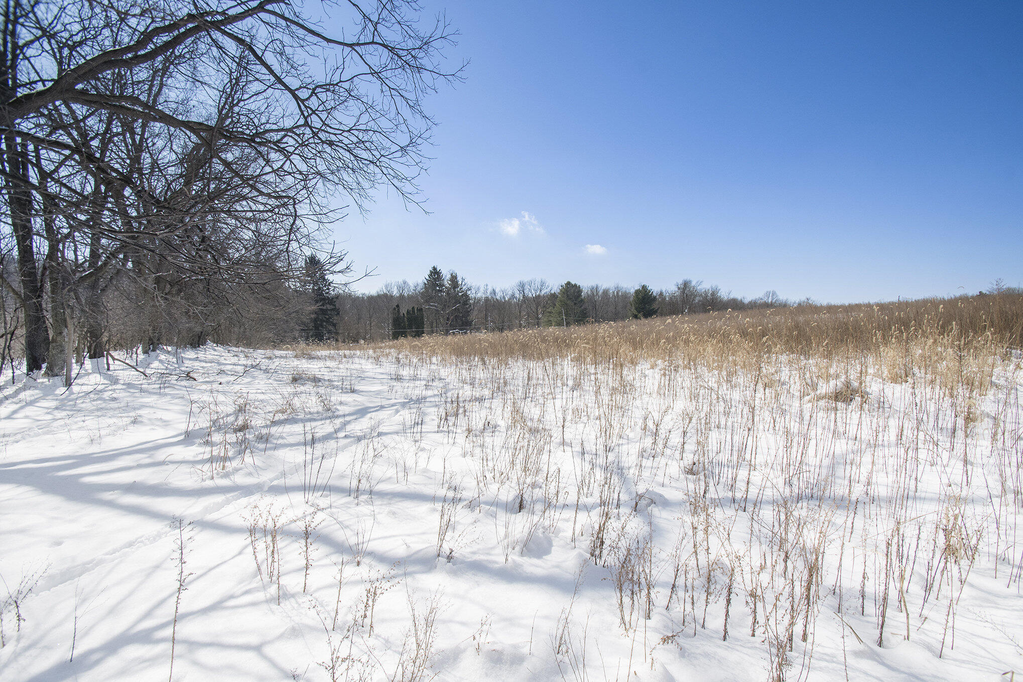 0 Madron Lake Road Buchanan, MI 49107 - Photo 5 of 14 005_dsc_1062_407
