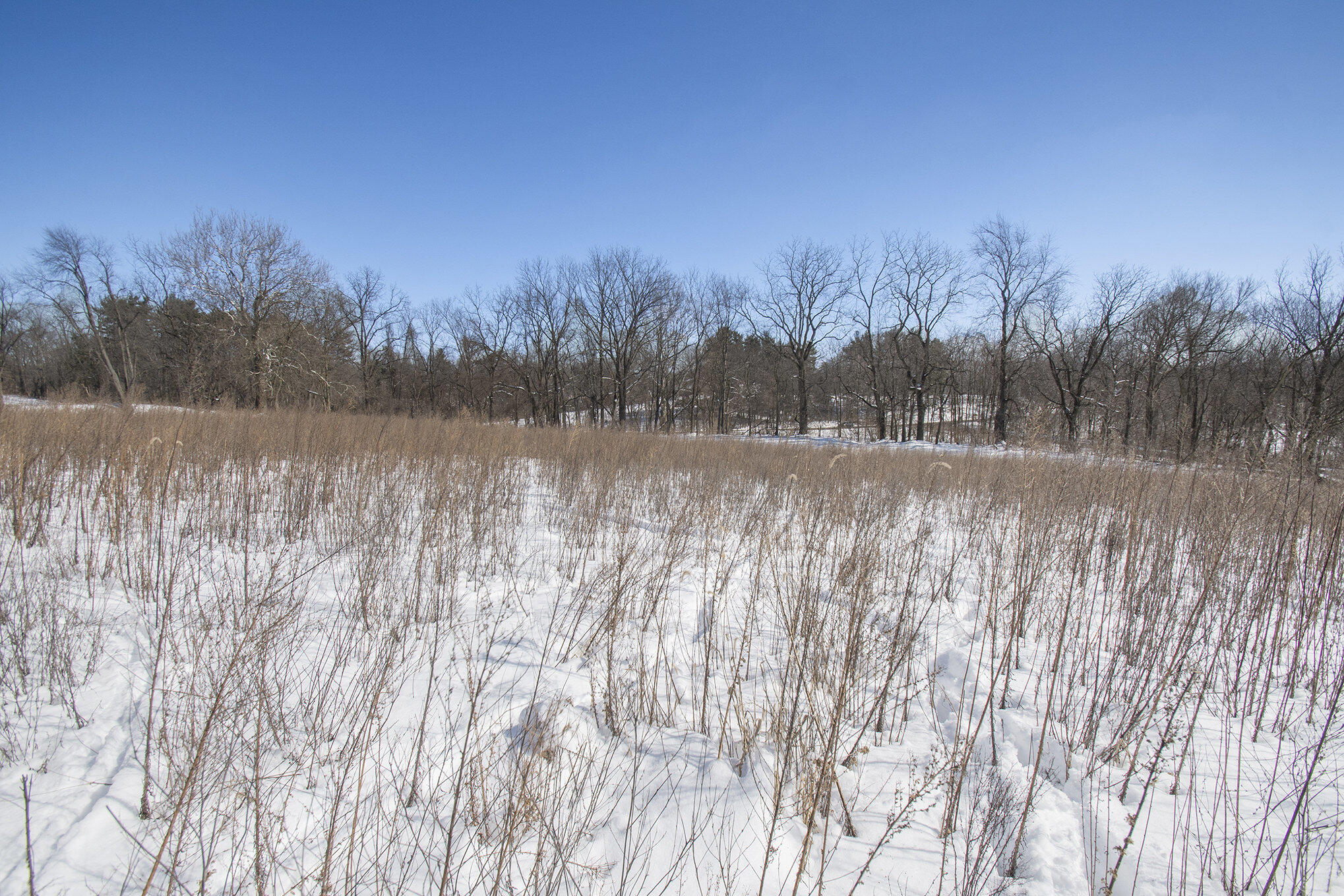 0 Madron Lake Road Buchanan, MI 49107 - Photo 6 of 14 006_dsc_1063_211