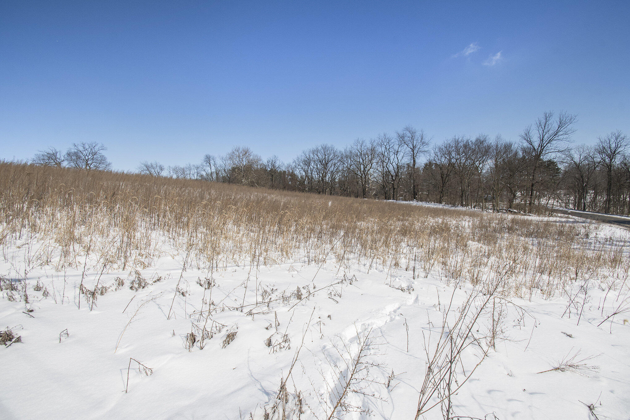 0 Madron Lake Road Buchanan, MI 49107 - Photo 7 of 14 007_dsc_1067_269