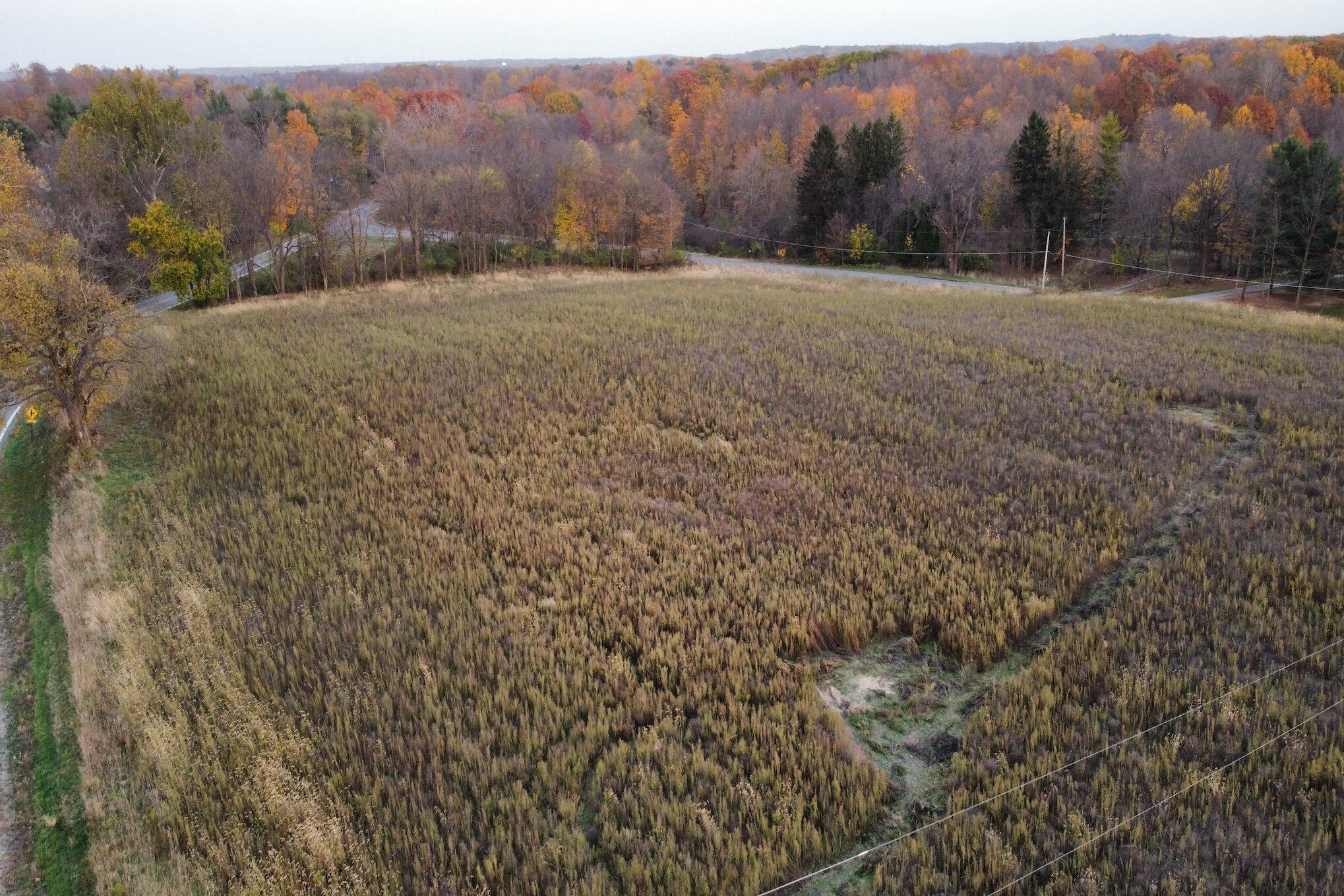 0 Madron Lake Road Buchanan, MI 49107 - Photo 9 of 14 011_dji_fly_20241030_184442_851_17303287