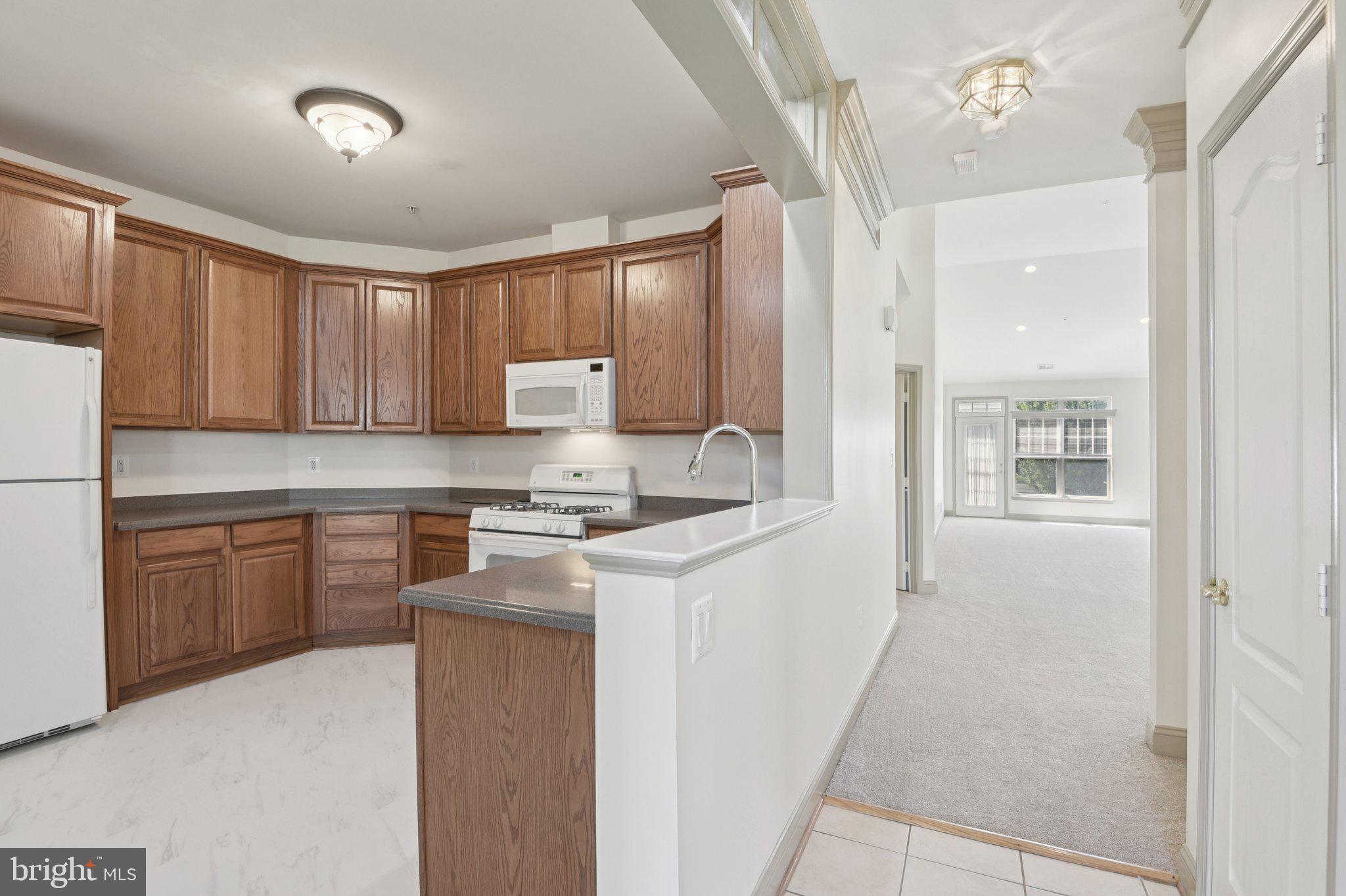 7201 Paperbark Terrace Laurel, MD 20707 - Photo 10 of 58 kitchen, hall to great room