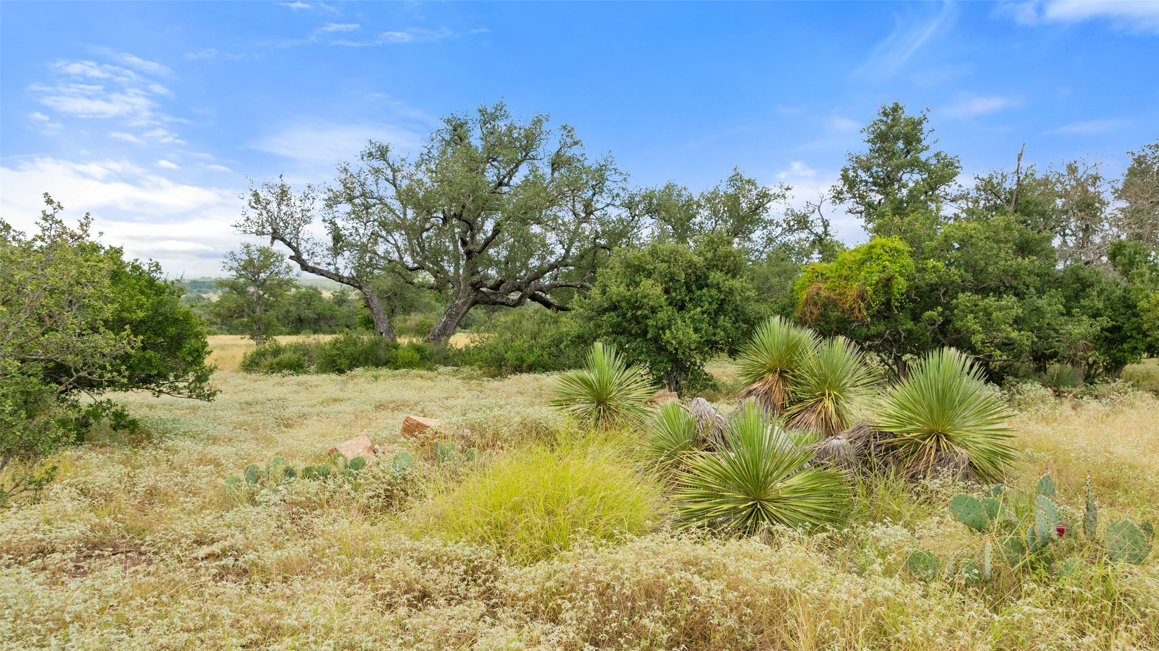 Lot 37 Vista Rdg Drive Round Mountain, TX 78663 - Photo 23 of 30 View of nature