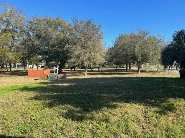 a view of a park with large trees