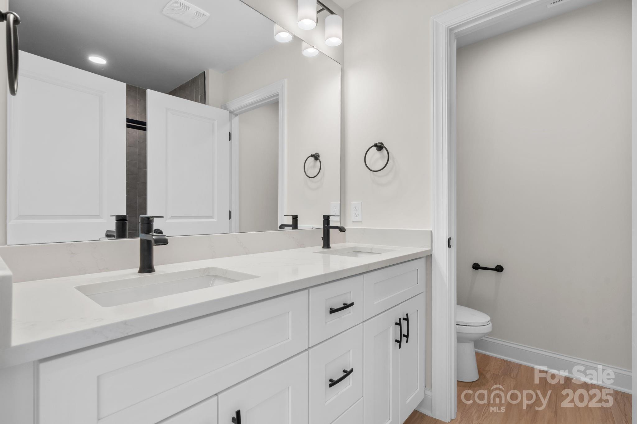 1888 Sigmon Dairy Road Newton, NC 28658 - Photo 15 of 38 a bathroom with a sink a toilet and a mirror