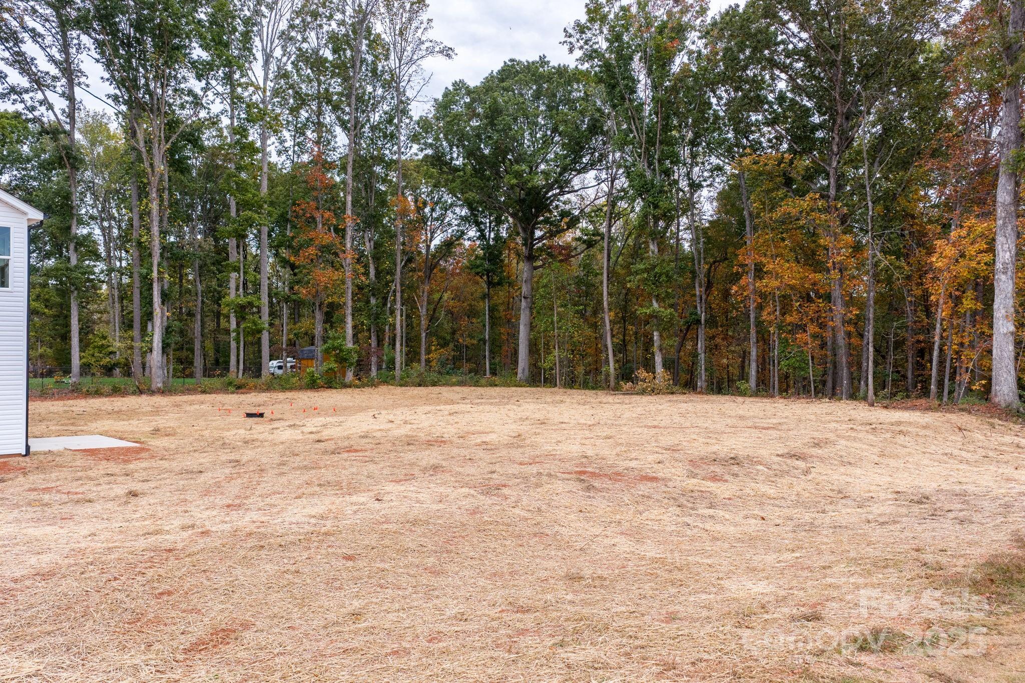 1888 Sigmon Dairy Road Newton, NC 28658 - Photo 28 of 38 a view of outdoor space with trees