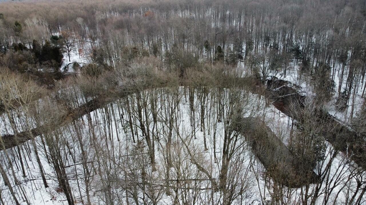 7477 Mcclellan Road Kaleva, MI 49645 - Photo 9 of 65 IMG_3384