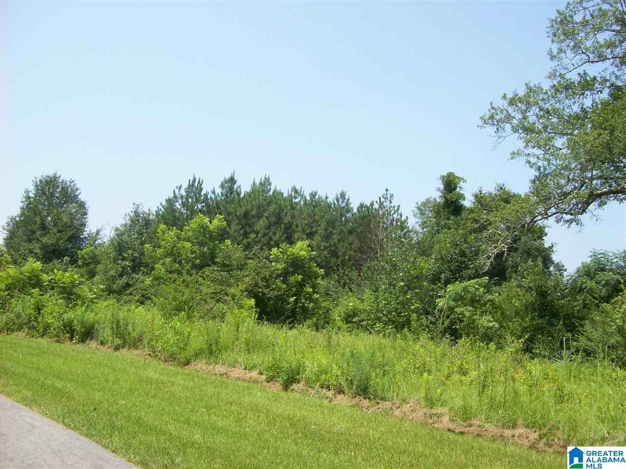Francis Mill Road Ohatchee, AL 36271 - Photo 3 of 9